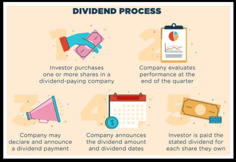 What Is a Dividend Stock and When Are They Paid Out?